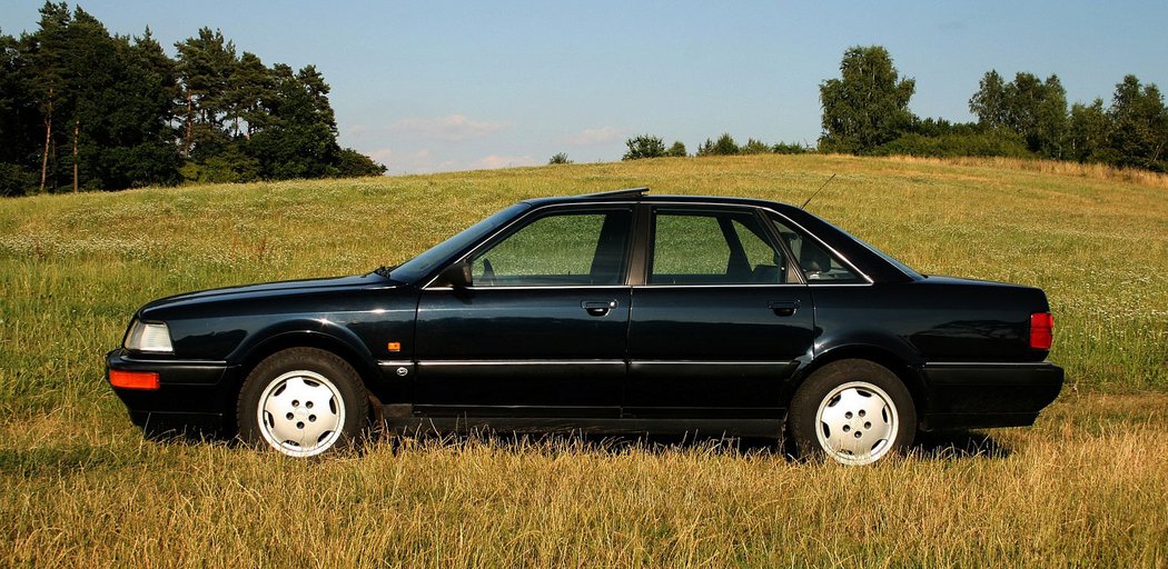 Audi V8, foto: Alexandr Šmejkal