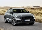 Audi údajně chystá velké SUV Q9. Má mít spalovací motory, jako jedno z posledních