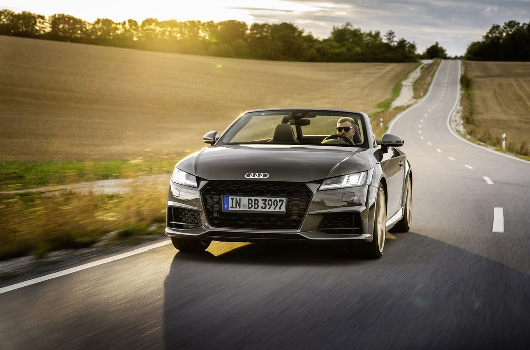 Audi TT Roadster bronze selection