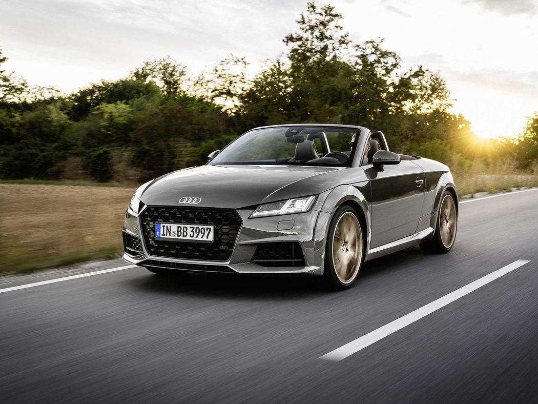 Audi TT Roadster bronze selection