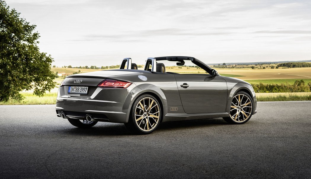 Audi TT Roadster bronze selection