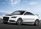 Audi TT ultra quattro concept: 310 k, 410 N.m a 1111 kg