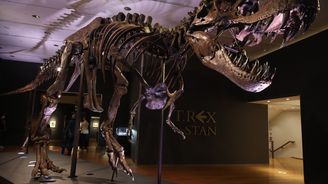 Tyranosaurus za tři čtvrtě miliardy. Kostra dinosaura překonala dražební rekord