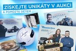 Výtěžek dobročinné aukce poputuje na pomoc dětem, jež se staly oběťmi dopravních nehod, nebo při nehodách přišly o rodiče.