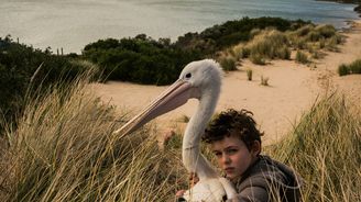 Svoboda není samozřejmost, připomene v pražských kinech šestý ročník Aussie & Kiwi Film Festu