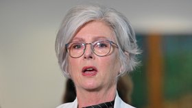 Nezávislá australská poslankyně Helen Hainesová hovoří na tiskové konferenci v budově parlamentu v australské Canbeře. (26. 5. 2026)