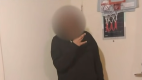 Šestnáctiletý chlapec v Adelaide měl chtít znásilnit důchodkyni (91).