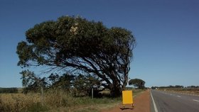 Australská silnice