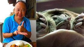 Diplomat snědl lahůdku z ohrožené želvy. Ostudné, pustili se lidé do velvyslance