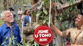 Pavlovi v Austrálii: Eva s lopatou, domorodí tanečníci i úchvatný zážitek mezi koalami!