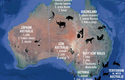 Nejhorší tři invazivní druhy pro jednotlivé australské státy (podle ekonomických nákladů)