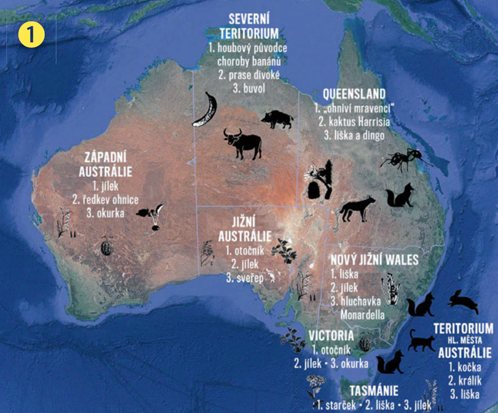 Nejhorší tři invazivní druhy pro jednotlivé australské státy (podle ekonomických nákladů)