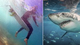 V Austrálii na surfaře zaútočil žralok, zraněním podlehl.