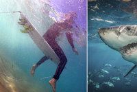 Na surfaře (†60) zaútočil třímetrový žralok: Muž zranění podlehl