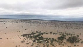 Australští farmáři při záplavách přišli o dobytek za miliardy korun.