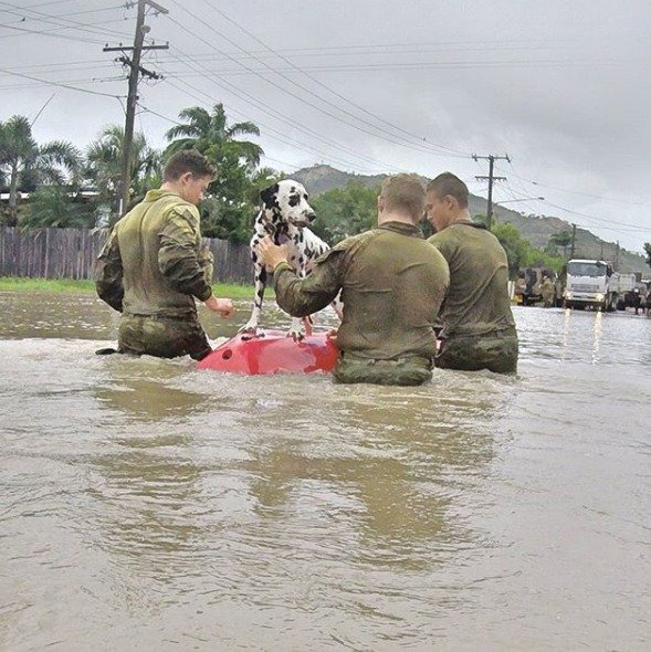 Část australského Queenslandu zasáhla stoletá povodeň. Voda vyplavila krokodýly a hady (04. 02. 2019).