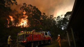 V Austrálii dál zuří požáry, plameny dorazily na hranici Sydney, velkoměsto halí hustý dým (10. 12. 2019).