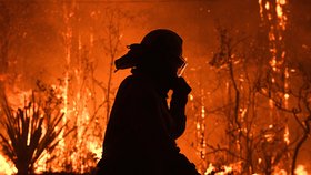 V Austrálii dál zuří požáry, plameny dorazily na hranici Sydney, velkoměsto halí hustý dým, (10.12.2019).