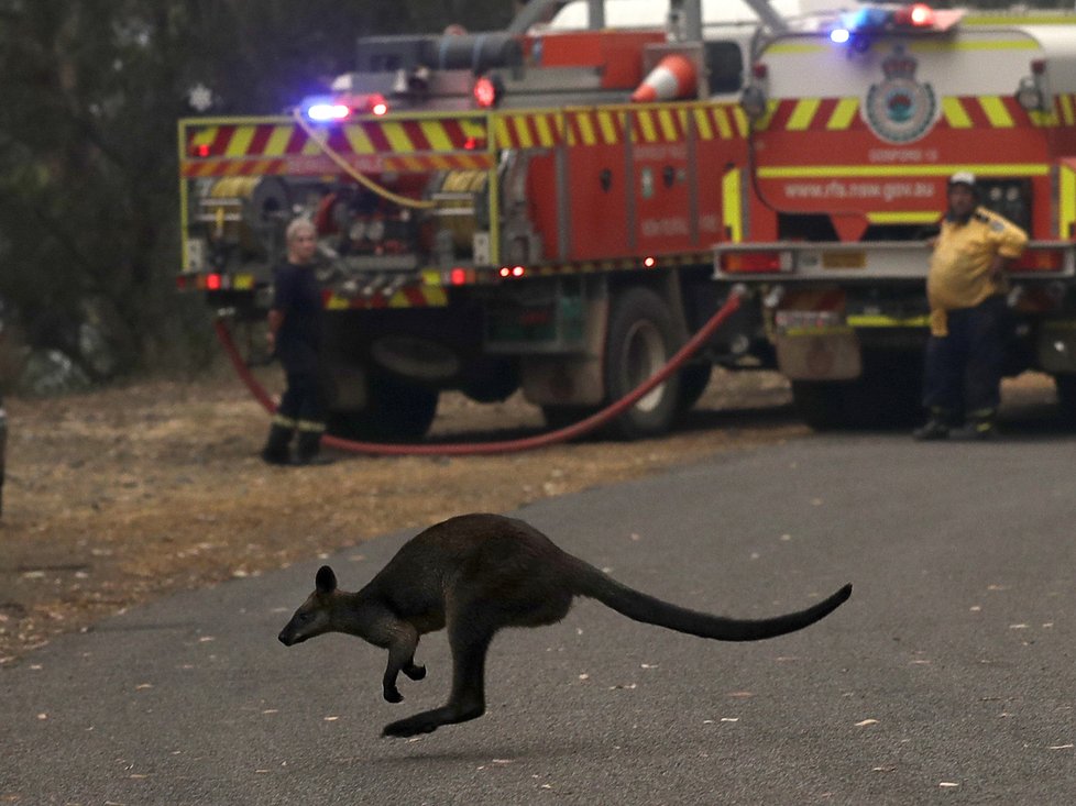 V Austrálii dál zuří požáry, plameny dorazily na hranici Sydney, velkoměsto halí hustý dým, (10.12.2019).