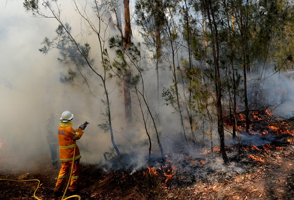 V Austrálii dál zuří požáry, plameny dorazily na hranici Sydney, velkoměsto halí hustý dým, (10. 12. 2019).