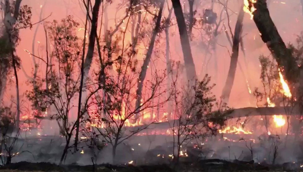 V Austrálii dál zuří požáry, plameny dorazily na hranici Sydney, velkoměsto halí hustý dým, (10. 12. 2019).