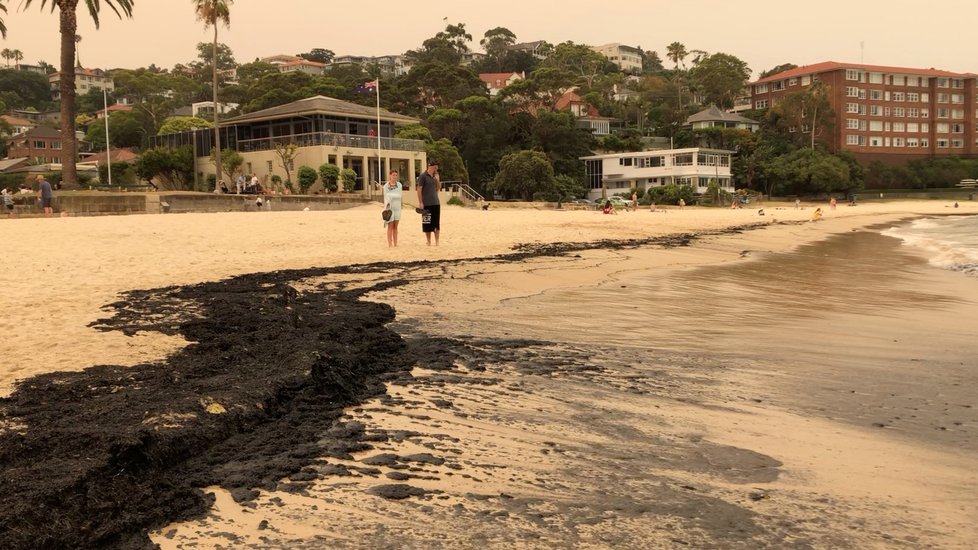 V Austrálii dál zuří požáry, plameny dorazily na hranici Sydney, velkoměsto halí hustý dým (10. 12. 2019).