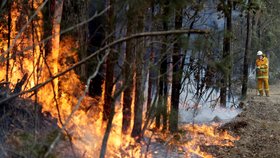 Hasiči i nadále bojují s požáry, které zachvátily Austrálii. (8. 1. 2019)