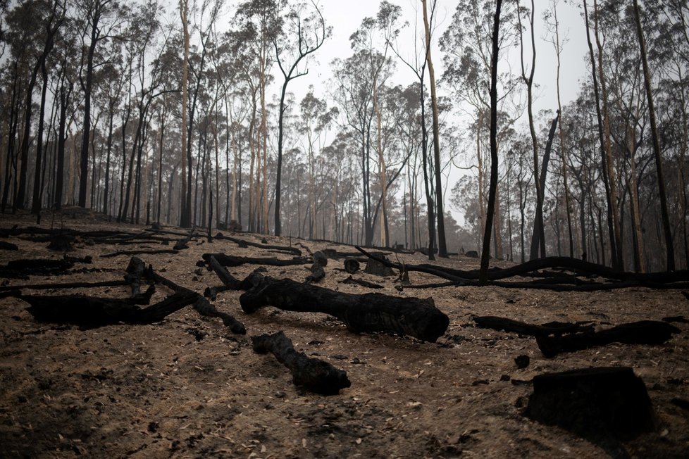 Ohořelé trosky aut i zničených domů jsou teď v Austrálii častým jevem (8. 1. 2019).