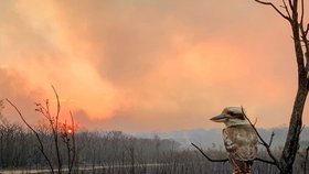 Ničivé požáry zabily v Austrálii už čtyři lidi.