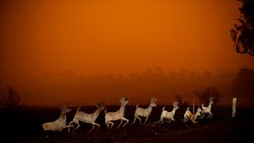 Austrálii pustoší obří požáry.