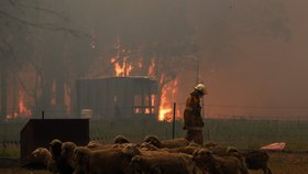 Austrálii sužují ničivé požáry. Dva hasiči přišli o život