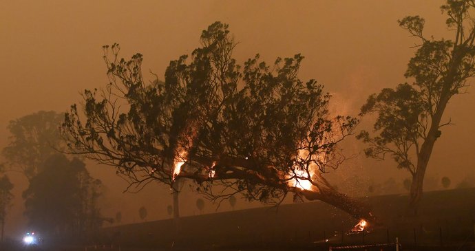V Austrálii dál zuří rozsáhlé požáry, vyžádaly si již 28 obětí (14.01.2020).