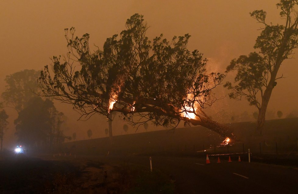 V Austrálii dál zuří rozsáhlé požáry, vyžádaly si již 28 obětí (14.01.2020).