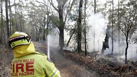 Ničivé požáry v Austrálii, (3.01.2020).