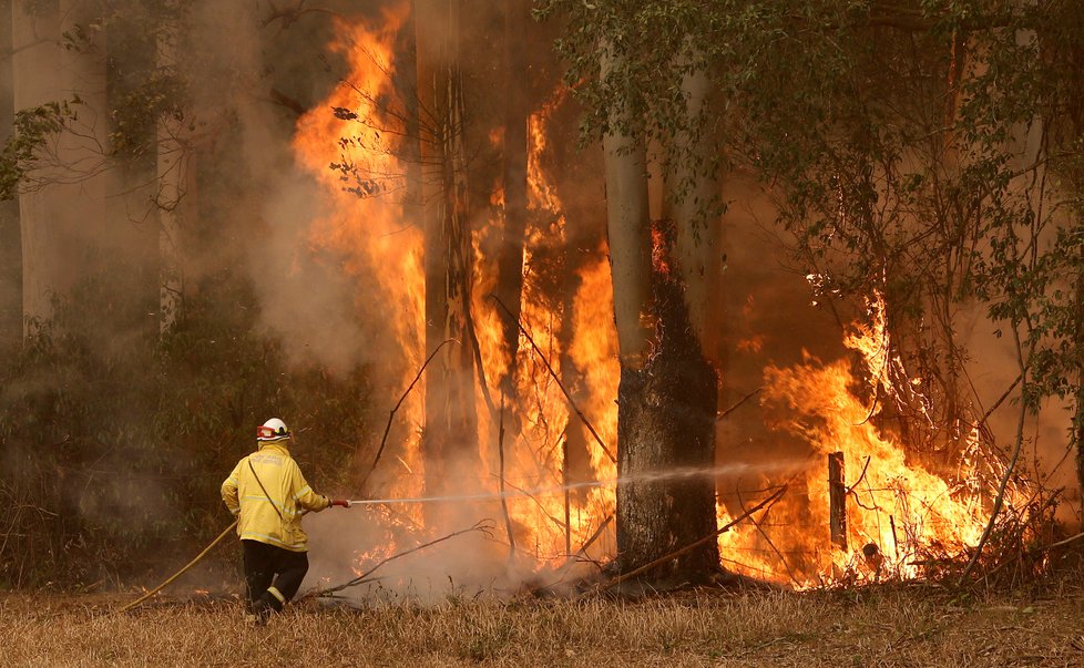 Australané dál bojují s rozsáhlými požáry (13. 11. 2019).