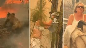 Záchrana koaly: Babička hrdinsky vběhla pro zvíře do plamenů.
