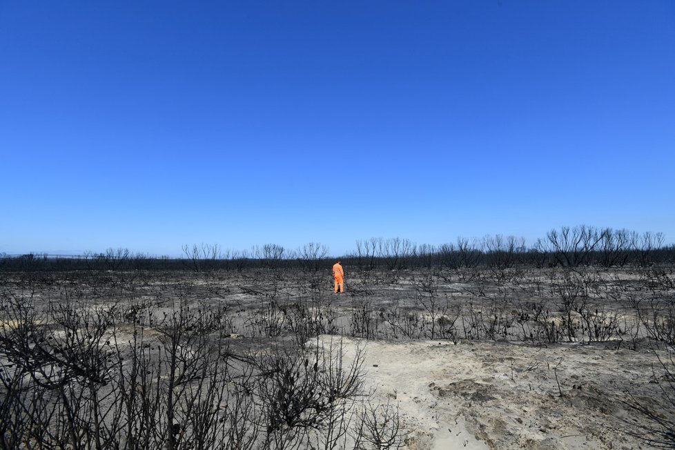 Zkáza na Klokaním ostrově. Po požáru zde zůstaly ohořelý mrtvoly zvířat i zbytky vegetace (7.1. 2019)