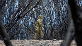 Požáry v Austrálii zasáhly už větší území, než je rozloha ČR (12. 1. 2020)