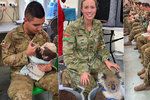 Australští vojáci dojali internet. O svém volnu se chodí starat o koaly.
