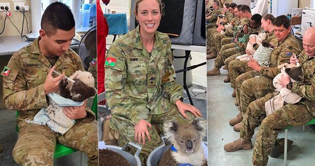 Místo drsňáků náhradní mámy: Vojáci krmící zraněné a opuštěné koaly dojali Austrálii