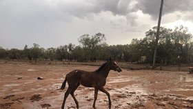 Na jihovýchodě Austrálie udeřila písečná bouře, (20.01.2020).