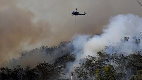 Děsivé požáry v Austrálii