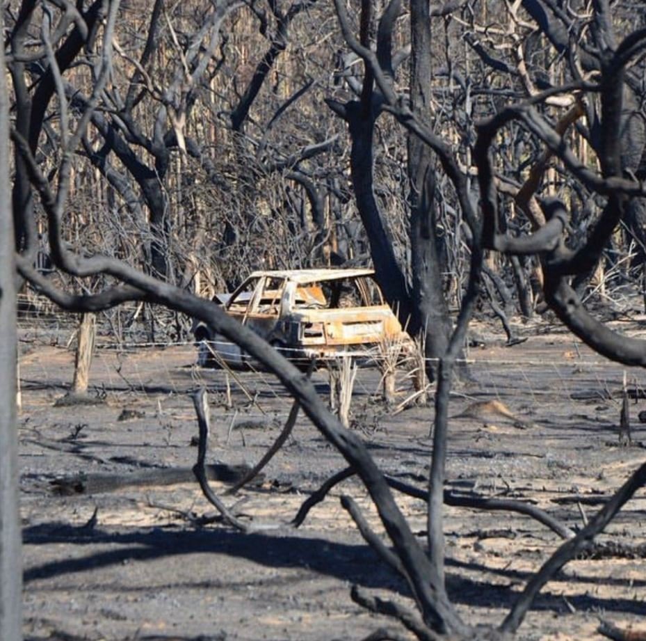 Pohled na zkázu na australském Klokaním ostrově (6. 1. 2020)