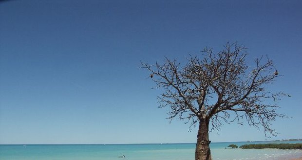 Derby - Broome - Port Headland - Barradale Rest Area