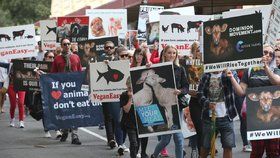 Australští aktivisté protestovali proti zabíjení zvířat, chtějí rozbořit masný průmysl.