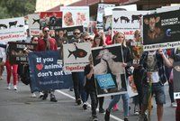 „Dost zabíjení planety a zvířat“. Aktivisté zablokovali ulice a „unesli“ ovce z jatek