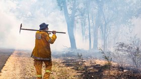 Na severovýchodě Austrálie se dál rozrostly lesní požáry, které se od víkendu šíří ve státě Queensland. Rychlý postup plamenů si vynutil uzavření několika desítek škol a evakuaci tisíců domácností (28.11.2018).