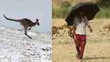 Počasí ve světě šílí: Indii spalují vedra kolem 50 °C, v Austrálii sněží