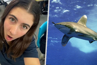 Stella (†16) nepřežila vzácný útok žraloka v řece! Chtěla si zaplavat s delfíny