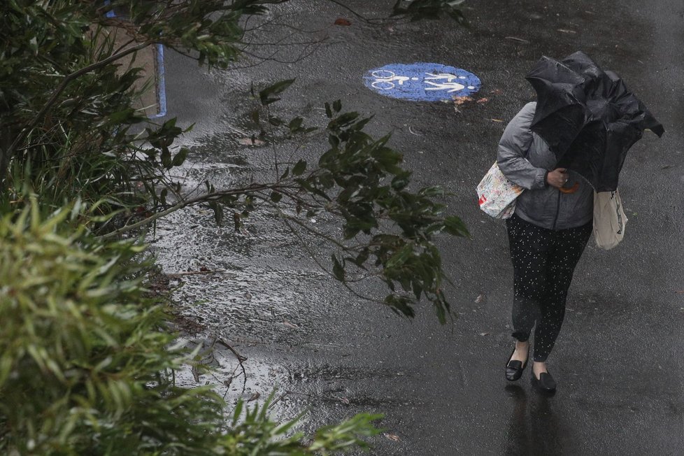 Australské Sydney zasáhly nejvydatnější srážky za 30 let. Déšť pomohl uhasit rozsáhlé požáry. (ilustrační foto)